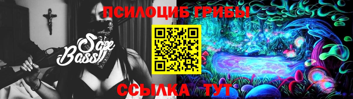 Гусев  Галлюциногенные грибы MAGIC MUSHROOMS  Вход с VPN  Галлюциногенные грибы мухоморы 